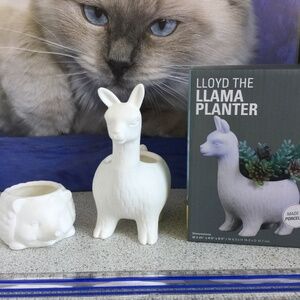 Porcelain planters Prickles and Lloyd